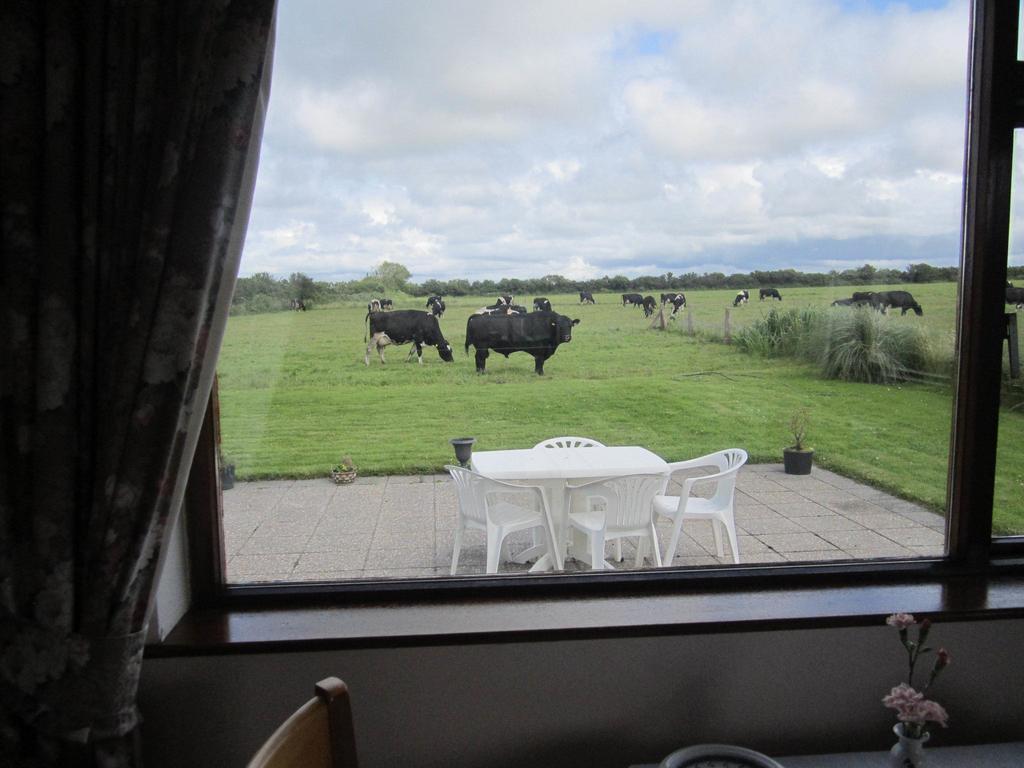 Greenfields Farmhouse Villa Ballylongford Værelse billede